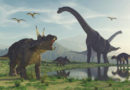 SCI-PALEONTOLOGY | Dinosaur footprints were discovered  in China