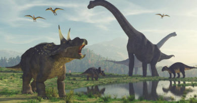SCI-PALEONTOLOGY | Dinosaur footprints were discovered  in China