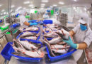 ASEANEWS HEADLINE-BIZ | Vietnam’s total catfish exports hit USD1.8B