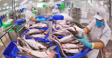 ASEANEWS HEADLINE-BIZ | Vietnam’s total catfish exports hit USD1.8B