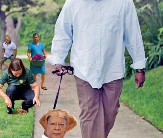 COMICS: Mani D’ Nut | Xi’s Trusted Pet!! COMICS: Mani D’ Nut | Xi’s Trusted Pet!!