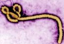 WORLD.NEWS-HEALTH | WHO declares global health emergency over Ebola outbreak