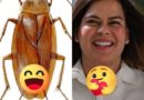 COMICS: Mani D’ Nut | The Senate need Pest Control to Impeach VP Sara? Senate will be under Cockroach Invasion?