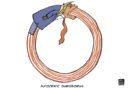 WORLD EDITORIAL  CARTOONS: VICIOUS CIRCLE | THE MANILA TIMES