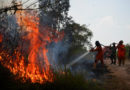ASEANEWS HEADLINE-ENVIRONMENT FOREST FIRE | JAKARTA: Indonesia ramps up efforts to fight forest fires