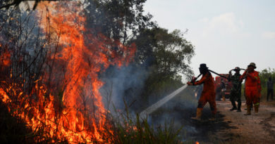 ASEANEWS HEADLINE-ENVIRONMENT FOREST FIRE | JAKARTA: Indonesia ramps up efforts to fight forest fires